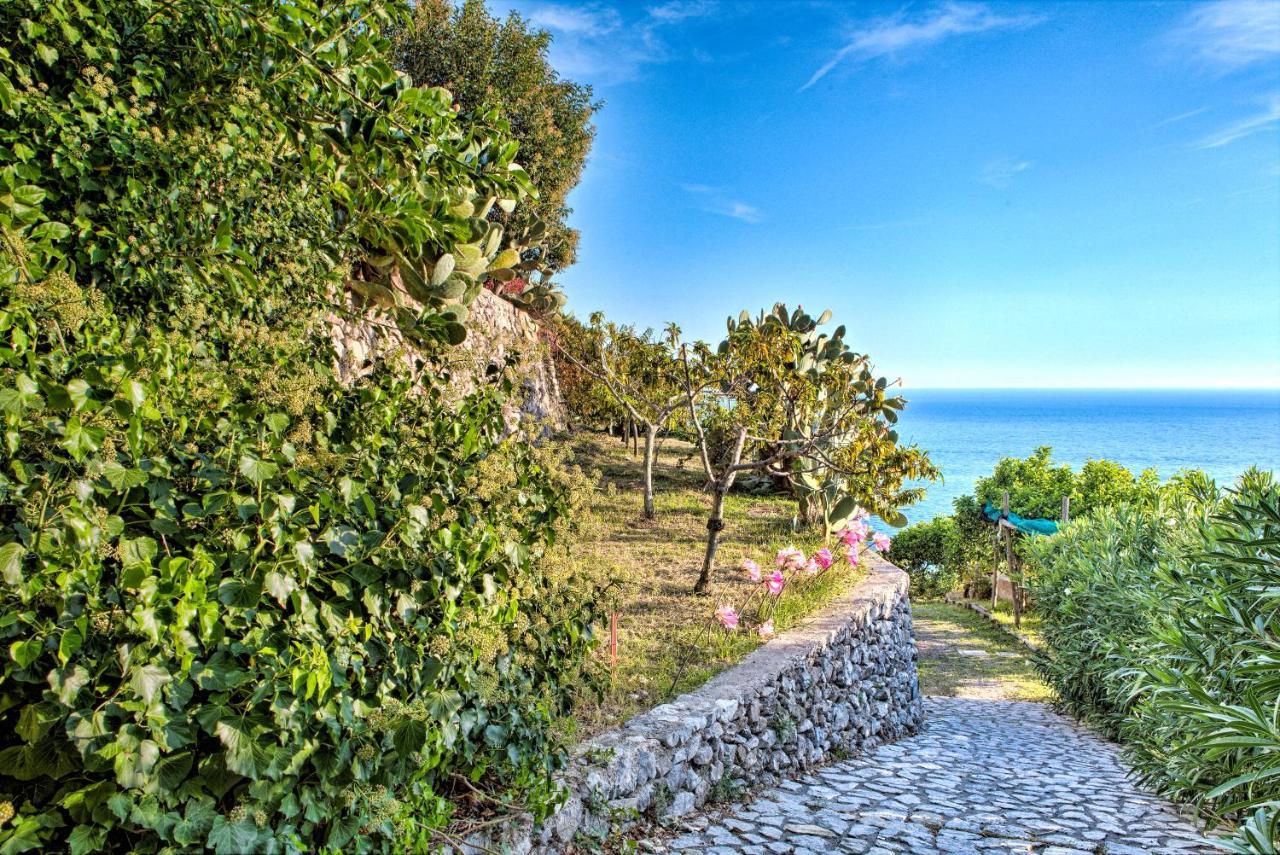 Villa Ad Maiori Dış mekan fotoğraf