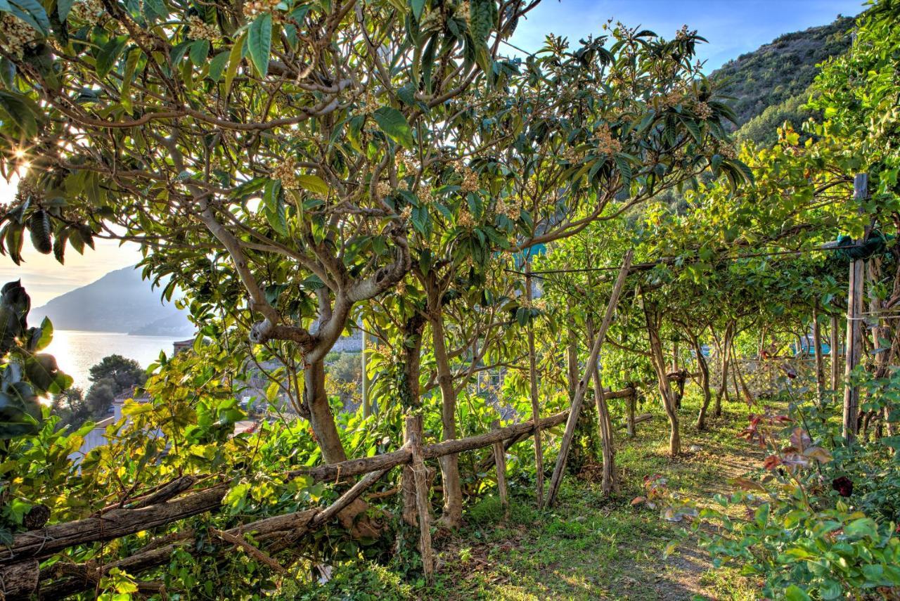Villa Ad Maiori Dış mekan fotoğraf